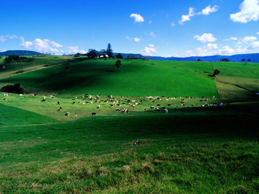 348479 (a): :1600x1200